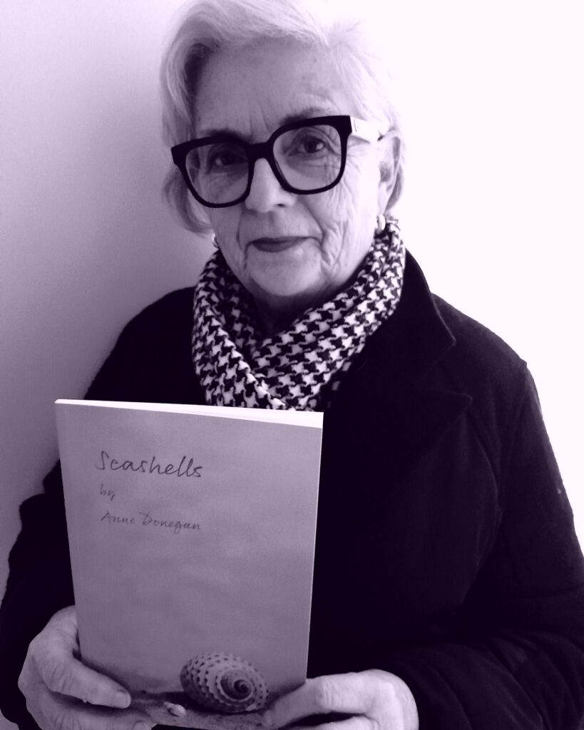 JM Agency author Anne Donegan